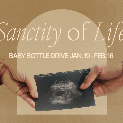 babybottledrive