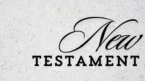 New Testament Survey Course