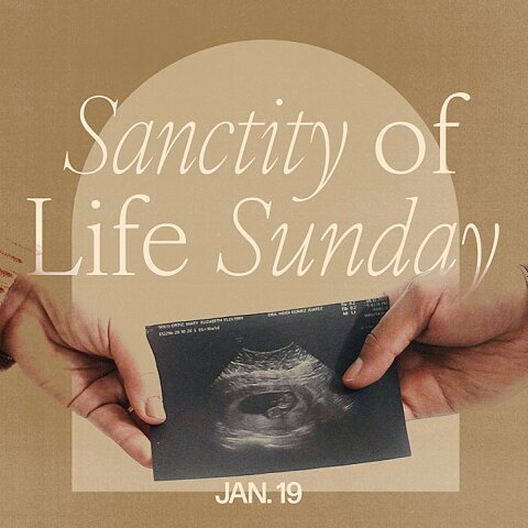 sanctity of life week ultrasound texture cmg template large