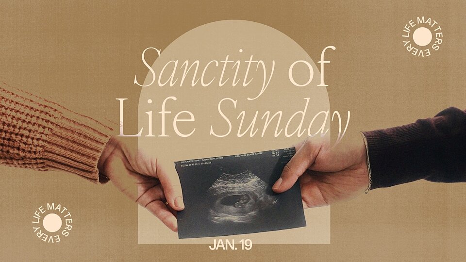 sanctity of life week ultrasound texture cmg template large